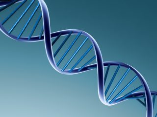 DNA Storage